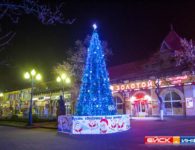 Новогодние елки города Ейска