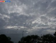 Театрализованное мероприятие "Огонь памяти" в Ейске