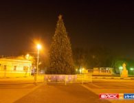 Новогодние елки города Ейска