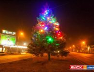 Новогодние елки города Ейска