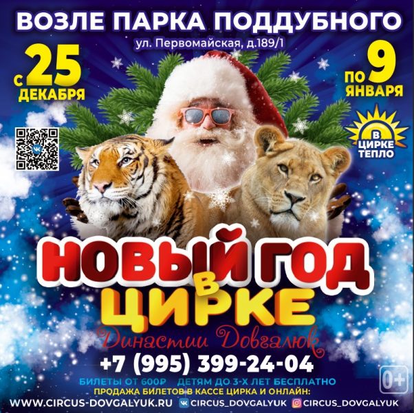 Новогоднее Шоу 2022 Онлайн