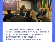 Общественное наблюдение на Кубани: организация онлайн-трансляций, опровержение фейков, обеспечение прозрачности выборов.
