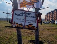 21 марта в Ейске состоялась городская патриотическая акция «Сад памяти»