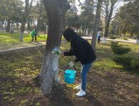 В сельских поселениях Ейского района также проходит благоустройство общественных территорий
