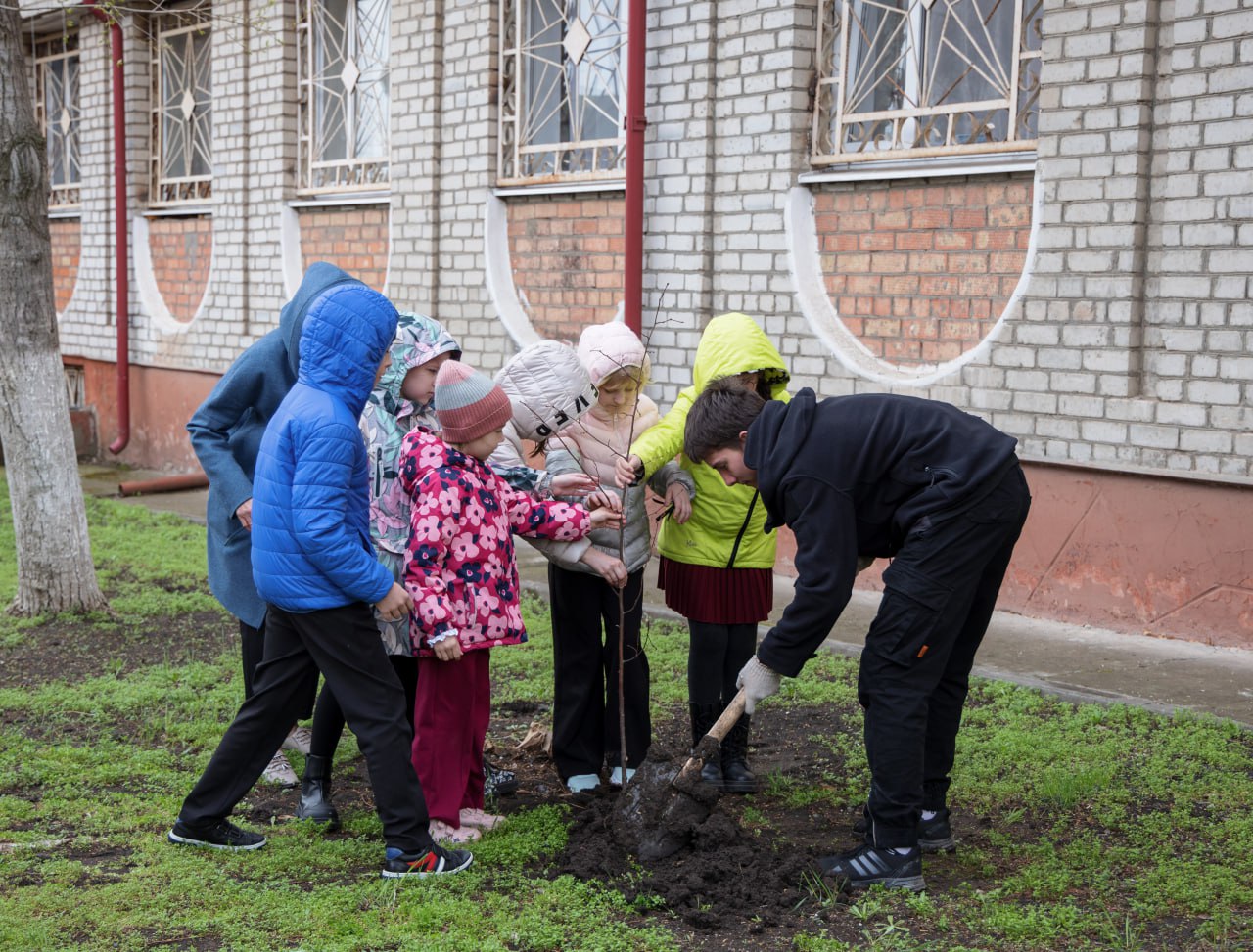 Аллея памяти: юные ейчане высадили живые символы Победы