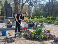 В парке Поддубного продолжается благоустройство территории