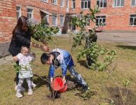 В детском саду № 27 города Ейска состоялась акция «Сирень Победы»