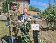 В детском саду № 27 города Ейска состоялась акция «Сирень Победы»