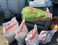 Студенты Ейского полипрофильного колледжа помогли приюту для животных