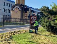 В городе продолжается борьба с сорняками