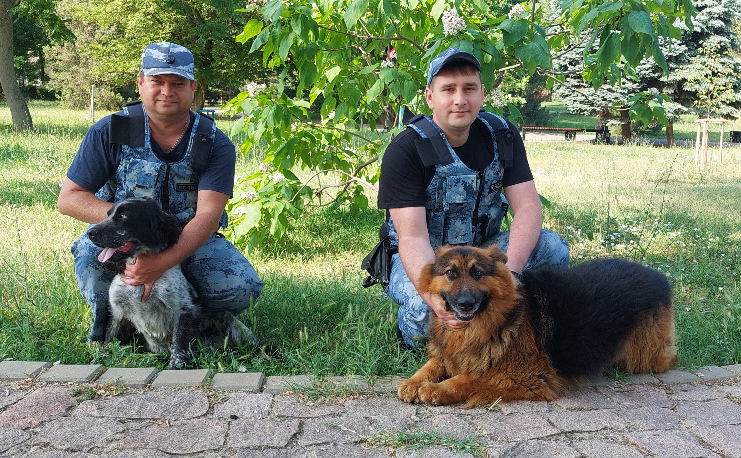 В 2025 году кинологические подразделения органов внутренних дел Российской Федерации отмечают 116-ю годовщину