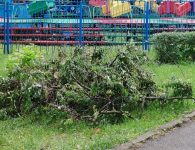 Готов ли Парк Поддубного к летнему сезону?