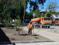 В рамках поручения главы района продолжаются работы по уходу за молодыми деревьями