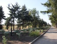 В посёлке Комсомолец Ейского района благоустраивают аллею Школьную