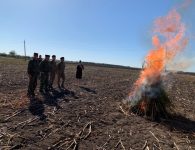 В Ейском районе ликвидирован участок с дикорастущей коноплей