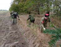 В Ейском районе ликвидирован очаг дикой конопли