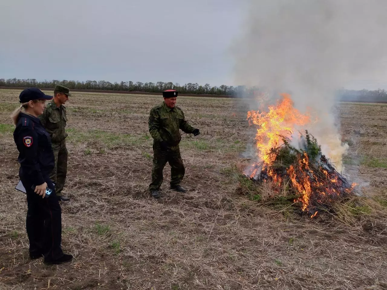 В Ейском районе ликвидирован очаг дикой конопли