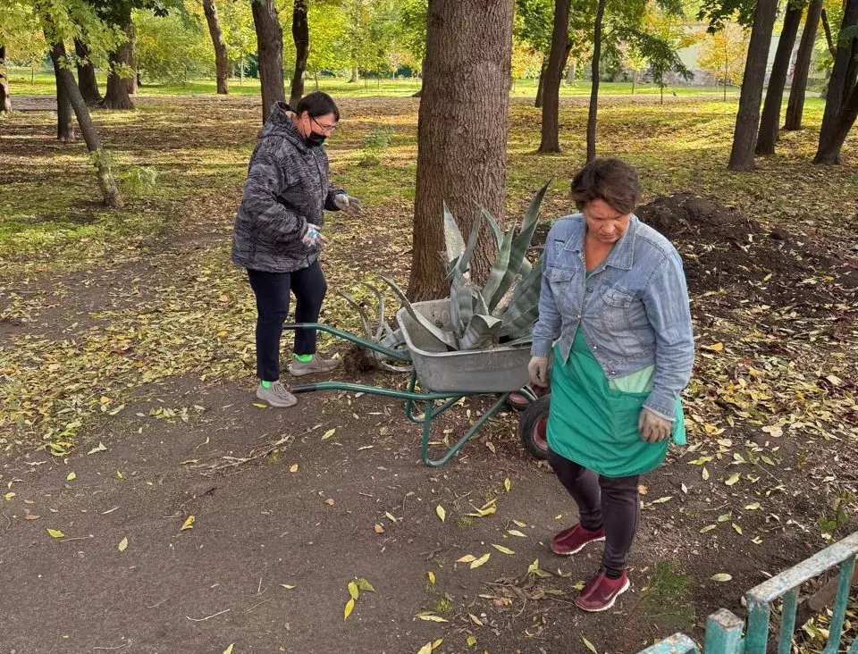 В парке Поддубного началась подготовка растений к зиме