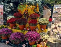Воспитанники эколого-биологического центра Ейска заняли призовое место на краевом конкурсе