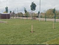 В селе Александровка завершили благоустройство территории нового спортзала