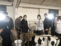 В школе поселка Советский открыли агротехнический класс