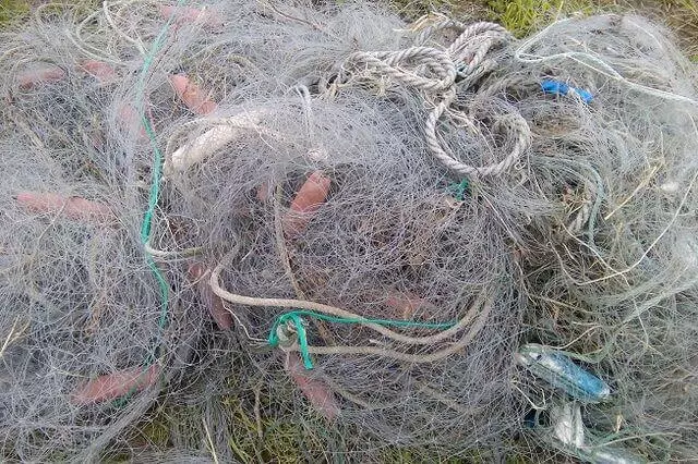 В Ейском районе изъяли более километра браконьерских сетей