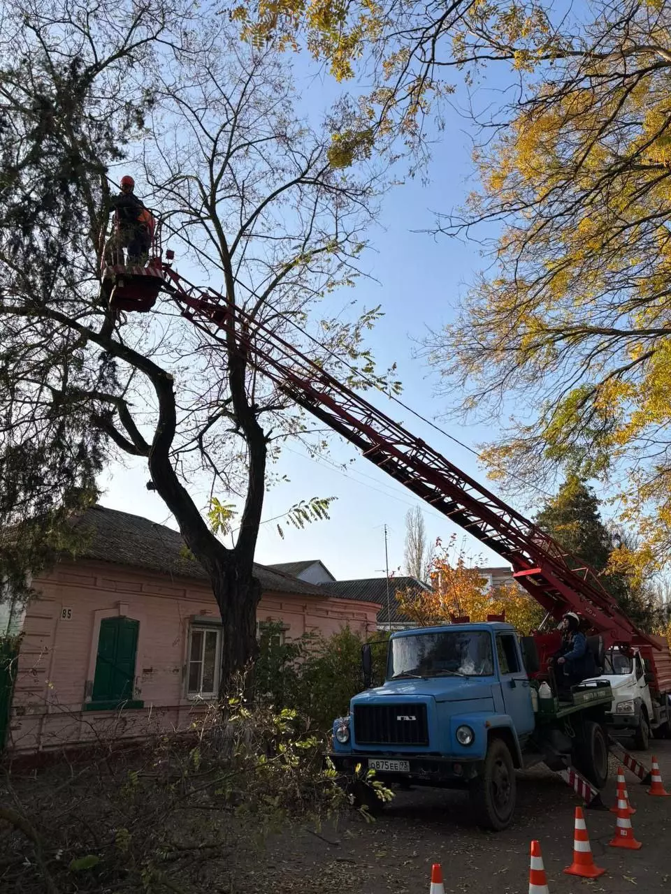 В Ейске продолжают спиливать деревья.