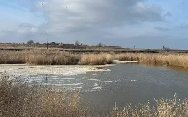 В Ейском лимане для сохранения рыбы проведут мелиоративные мероприятия