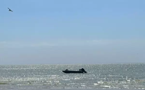 Аномальная жара в Азовском море может привести к замору рыбы