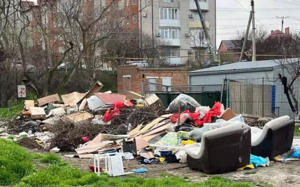 Замглавы района Егор Иванов призывает правильно утилизировать крупногабаритный мусор