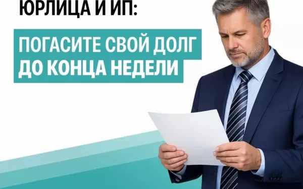 Юридические лица и ИП Ейского района задолжали 8 млн рублей за вывоз мусора