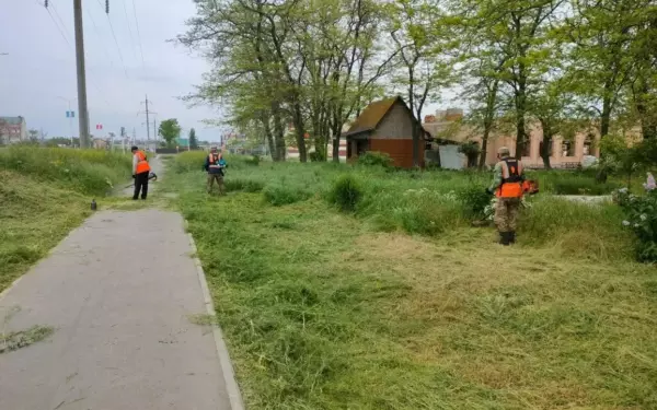 В Ейском районе продолжается покос травы