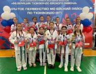 Ейские тхэквондисты завоевали бронзу открытого первенства в СК «Юность»