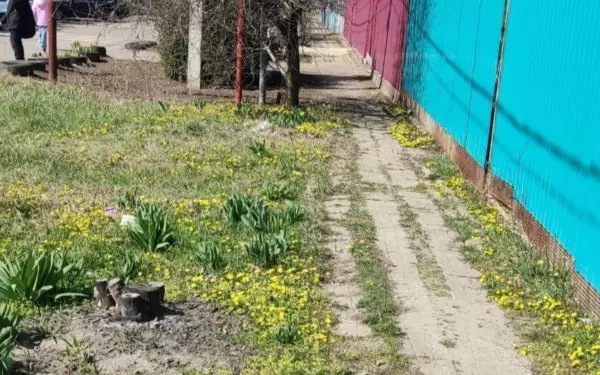 В Александровке отремонтируют тротуар возле детского сада
