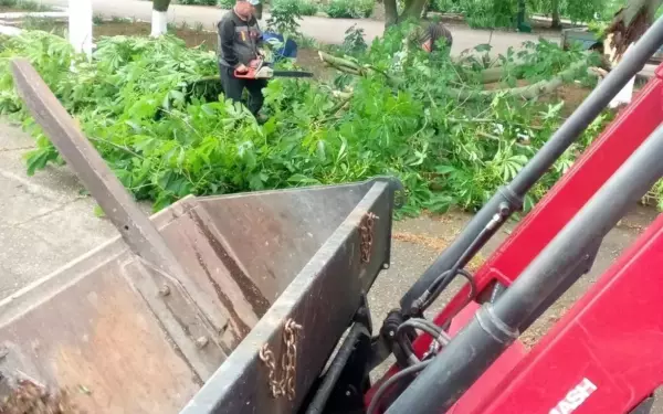 В Ейске и Ейском районе устраняют последствия вчерашней стихии