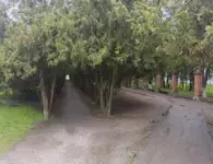 Осталось 15 дней до конца голосования за благоустройство!