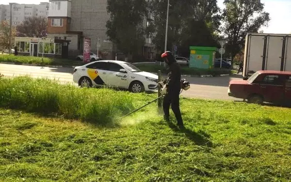 Коммунальные службы города косят траву на центральных улицах