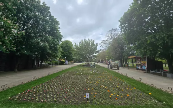 В парке Поддубного расцветают новые клумбы