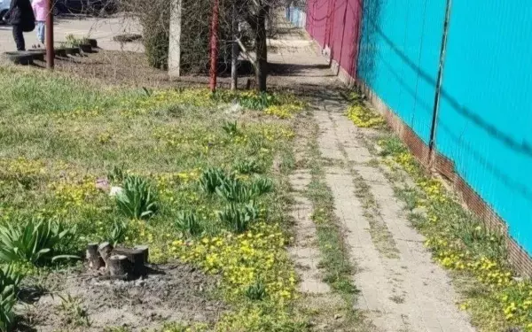 В Александровке начнут строительство нового тротуара