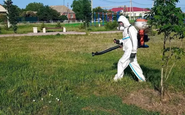 В парке «Победы» станицы Должанской провели обработку от сорняков