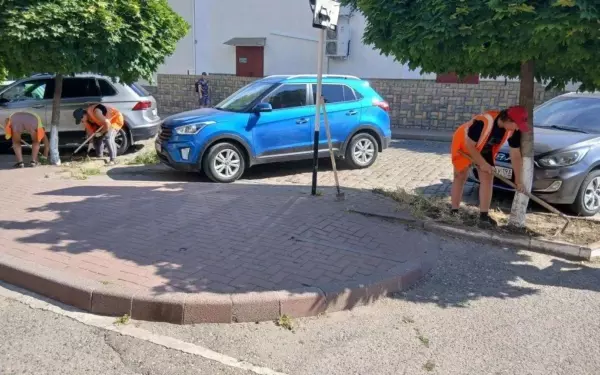 Покос травы в Ейске продолжается несмотря на погодные сюрпризы