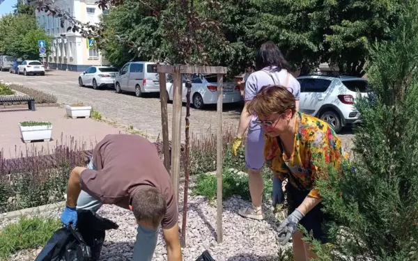 В центре города навели порядок на клумбах