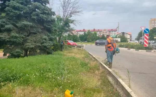 Работники «Экотранс» продолжают наводить чистоту в Ейске