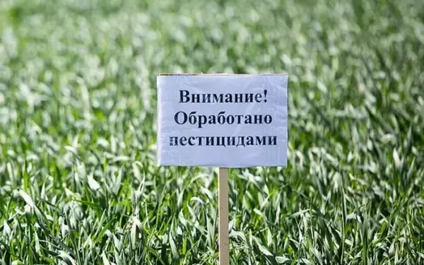 Внимание! В Ейском районе будут применять пестициды