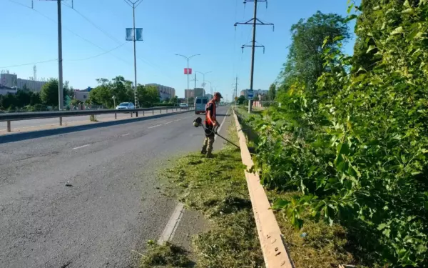 Работники «Экотранс» убрали несанкционированные свалки на улицах города