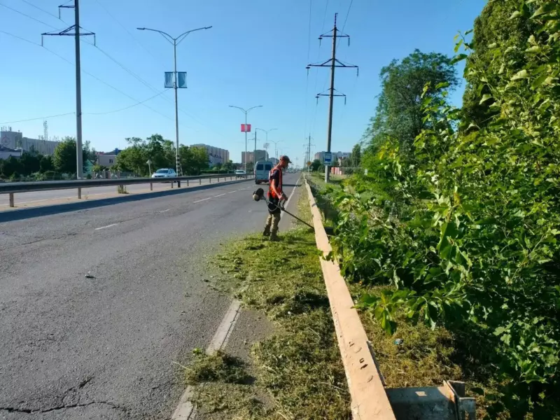 Работники «Экотранс» убрали несанкционированные свалки на улицах города