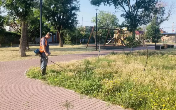 Коммунальные службы Ейска продолжают работу по благоустройству города