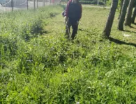 В Ейске продолжается ежедневная уборка города