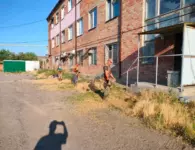 В Ейске продолжается ежедневная уборка города