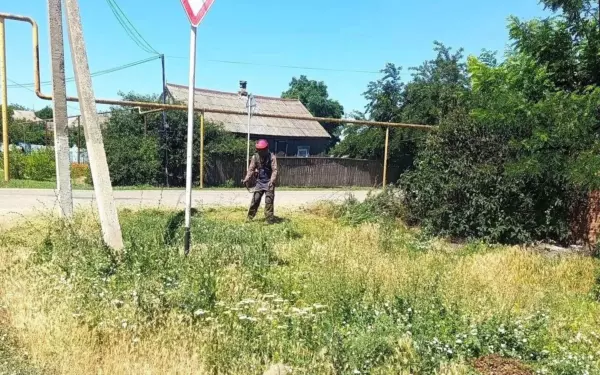 В Ейском районе очистили почти 90 гектаров земли от опасной амброзии